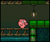 pig dream